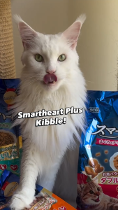 Smartheart Plus Dry Cat Food Kibble for All Life Stage 2kg (4 x 500g) - 3 Real Chicken & Fish Recipe