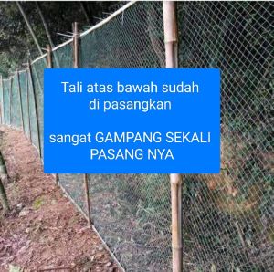 JARING PAGAR AYAMDLL 2MX50M. TALINYA ##BACA DISKRIPSI##