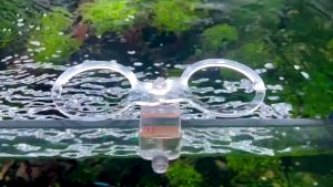 Kẹp mica giữ cốc rổ nhựa trồng cây thủy canh trang trí bể cá tép thủy sinh