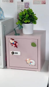 Desktop Safe Box Password Lock Storage Cabinet for Student Dormitory Home office