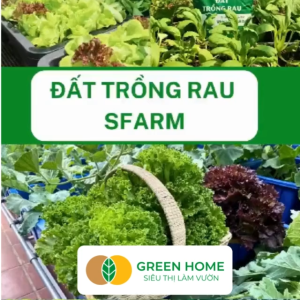 Đất Trồng Rau GreeHome Sfarm Bao 20dm3 (10kg) Hữu Cơ Trộn Sẵn Đầy Đủ Dinh Dưỡng Cho Rau Củ Quả