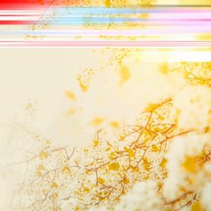 [NSF1111 Giảm 111K] Hộp 180 Viên Uống Bổ Gan Eikenbi Liver Extract - Chính Hãng Nhật Bản