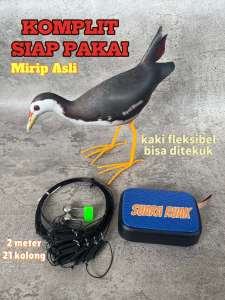 Paket Komplit Racik Perangkap Jebakan Burung Ruak Ruak + Speaker Masteran Truwok