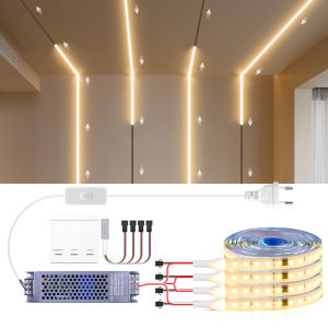 Horse Racing LED Strip Light SMD2835+WS2811 IC RF Control Running Water Wave Chasing LED Tape Ribbon Lamp Central Power Supply