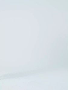 FILA Life Crop Womens T Shirt (2023NEW)