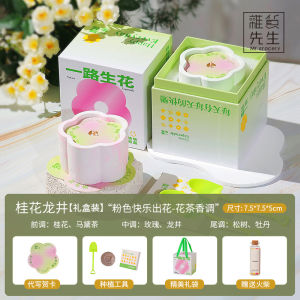 Jojos L PD Mr. Grocery Fragrance Candle Cup Planting Set Gift Box Ornament Souvenir Indoor Home Decorative Aromatherapy