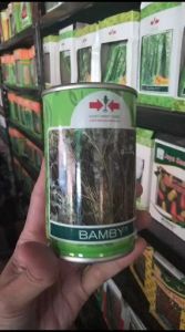 Bibit SELEDRI CELERY BAMBY 50 GRAM 100% Benih Original PANAH MERAH