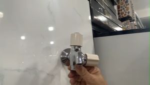 Củ sen lạnh Caesar KAG-CAS104 vòi sen tắm lạnh cao cấp nước mạnh hiệu suất tốt sử dụng tốt