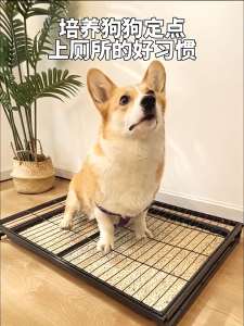 【Limited-time special offer】Dog Toilet Stainless Steel Dogs Litter Box Poop Collector Washable Toilet for Large Dog Urinal Cleaning Tool Pet Sandbox Toilets COD