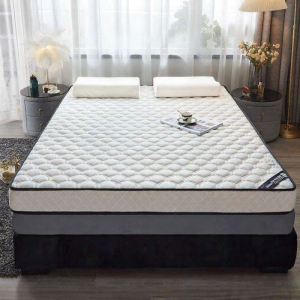 Rental and Dorm Friendly Memory Foam Mattress