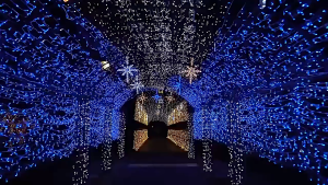 10M 100 Led Waterproof Christmas Fairy Lights String Strip Lights Indoor Outdoor Holiday Decorations