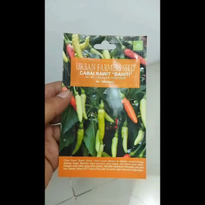 Benih Biji Bibit Cabai Rawit BAHITI Urban Farmers Seed - 200 Seed