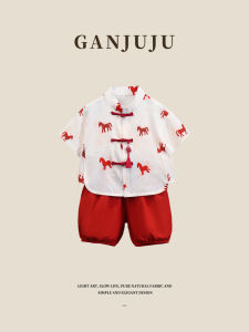 BOGUXIONG | Summer New Chinese Style Boys Set