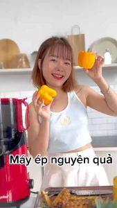 Máy ép chậm hoa quả Lazychef máy làm kem kết hợp máy ép trái cây hoa quả nguyên trái công suất lớn vắt kiệt bã  giữ nguyên dưỡng chất