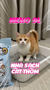 1 TẢI (6 bịch x 4kg ) cát Maneki neko dành cho mèo - T3 PETS SHOP