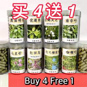 [100% 纯+有机] 黑面将军 / 穿心莲 蛇草 / 野牡丹 / 忧遁草 / 红田乌 / 南非叶 / 白鹤灵芝 / 咖喱叶 / 红毛榴莲叶 / 桑叶 / 番石榴叶 / 叶下珠/ 山栳叶 / 走马箭 / 岩陀叶 / 叶下珠 Herbs Capsules Black Face General Capsule 草药