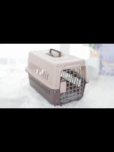 Hộp vận chuyển không khí cho thú cưng lồng cho mèo và chó túi du lịch hộp vận chuyển di động hộp vận chuyển không khí bán buôn