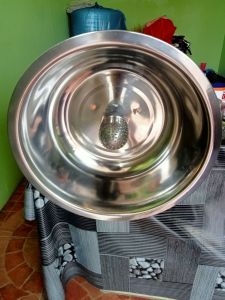 Hoyoma Japan Electric Coconut Grater without stand 100% Pure Copper Winding