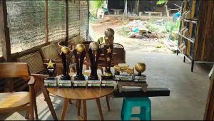Piala Kayu Sepak Bola Full Set