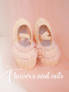 Soft Bottom Ballet Dance Shoes Womens Practice Ballet Shoes Cat Claw Pink Color Childrens Dancing Shoes Princess Style