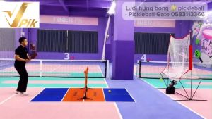 Lưới hứng bóng Pickleball Luspeed ( Chính hãng )