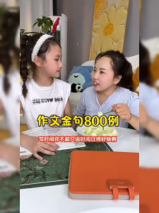 汉舟★800 Model Sentences for Essay Writing★by Time Education Research Center Edited by Zhang Yong & Wang Shoudao Dolphin 9787511069825【汉语 Language Learning 图书Book Hzbook】