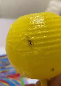 ลูกบอลดักแมลง กาวดักแมลง เหนียวพิเศษ ดักแมลงได้ทุกชนิด