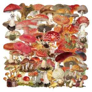 50Pcs Vintage Mushroom PET Stickers Transparent Watercolor Decals Creative Stickers for Journal Photocard DIY Decor