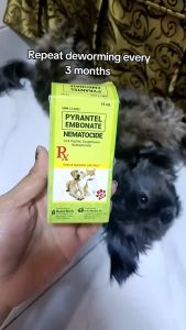 Free 3cc Syringe and Suspension Nematocide Pet Vitamins Medicine Dog Cat Dogs Pet Vitamins Medicine