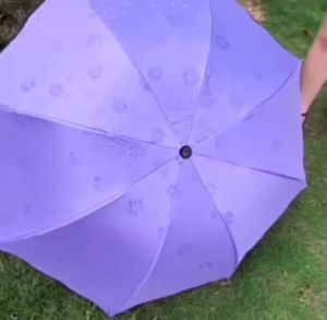 Magic Flowering Umbrella Cute Blossom UV and Rain Protection Foldable Windproof Floral Umbrella Cover