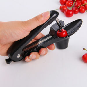 Stainless Steel Cherry Pitter Fruit Pit Remover Kitchen Tool for Removing Seeds from Fruits Core Extractor Cooking Utensil