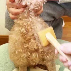 Pet Slicker Brush Bamboo Wood Handle Dematting Comb Dog Cat Grooming Tool Detangle Fluffy Coat Remove Loose Hair 13mm Pins