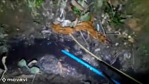 TITIK TIGA Gunting Capit Penangkap Belut Pengambil Kepiting - Gunting Japit Serbaguna Alat Penjapit Ambil Barang Serbaguna