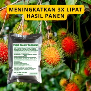 Pupuk Booster Rambutan / Obat Booster Rambutan / Pupuk Booster Rambutan / Pupuk Rambutan