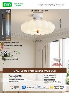 DGY | Eye-Protection Childrens Room Ceiling Light