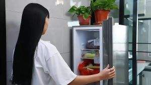 Máy Lọc Không Khí DX001 - Công Nghệ Khử Mùi Ozone Hiện Đại Loại Bỏ Vi Khuẩn Nấm Mốc Hiệu Quả