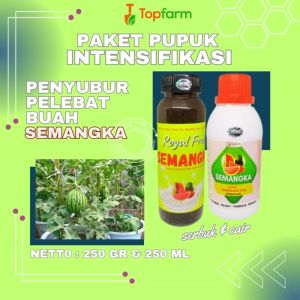 Pupuk Pemanis Buah Semangka / Pupuk Semangka Yang Ampuh / Pupuk Pembesar Buah Semangka / Pupuk Cair Khusus Semangka / Pupuk Buat Semangka