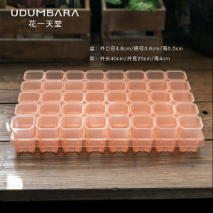 High Square Plastic Flower Pots with Tray Drip Tray for Succulent Plants Balcony Hydroponics Lampshade Seedling Tray