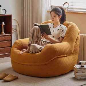 Modern Minimalist Dog Bed Sofa Leisure Furniture Single Person Reading Bedroom Living Room Tatami Balcony Trendy Relaxation