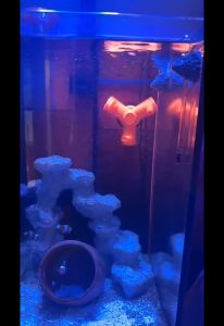 Đầu Out 3 Mỏ Vịt Xoay 360 Độ Fi2025 dành cho hồ cá biển bể cá nước mặn bể cá thủy sinh