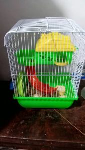 Kandang hamster 2 tingkat komplit rumah plosotan