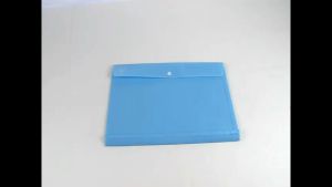 Map Plastik Kancing F4 EAGLEFiles Bening Punggung Data Bag File Transparent Horizontal E 223