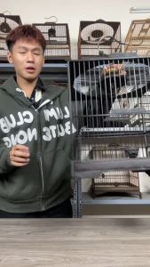 Lồng chim chào mào tự ráp nóc tròn nan cáp quang đen trơn chất liệu gỗ mun cao cấp tặng kèm mặt hổ phù