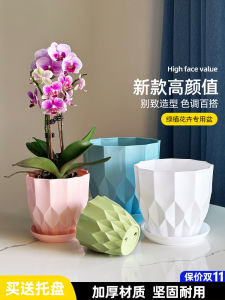 Chậu Nhựa Sang Trọng Chậu Nhựa Resin Green Basket Hoa Lan Hoa Cactus Chậu Nhỏ Tinh Tế Chậu Hoa Nhựa Đơn Giản Chậu Hoa