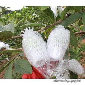 1 Kg XỐP BỌC ỔI ĐẦY ĐỦ ( thun xốp bì nilon )