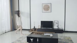 【Desiny】 Living Room Hanging Cabinet Floor Wall Modern Bedroom TV console