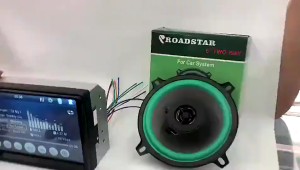 HK 6.5 inch subwoofer speaker 4Ω 100W BASS car speaker subwoofer Woofer Speaker midrange