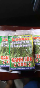 100 GRAM HẠT GIỐNG CÀ PHÊ VỐI CAO SẢN ROBUSTA XANH LÙN[ Trường Sơn TS5 ]. HẠT ĐẸP TUYỂN CHỌN BAO NẢY MẦM ĐÓNG GÓI KỸ HÚT CHÂN KHÔNG NHƯ HÌNH  Ạ