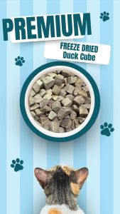 Freeze Dried Duck Cube Pet Food cat Snacks Dog snack Readystock