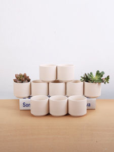 Thumbprint Pot 10pcs: Breathable Ceramic Succulent Plant Pots Unfired Hand-painted Coarse Clay Green Plant Succulent Bonsai Pots